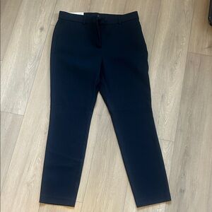 LOFT Navy Skinny Pants